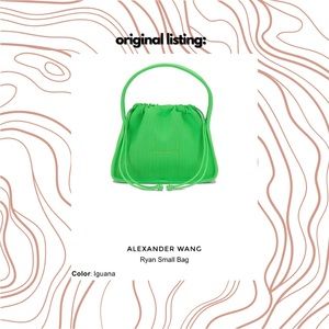 Alexander Wang Ryan Small Mesh Bag in the color Iguana!